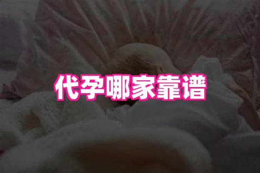 点点助孕网 1