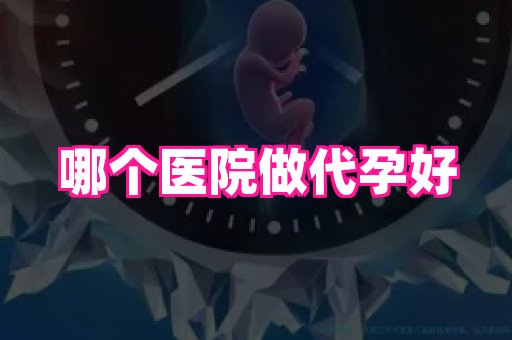 点点助孕网 3