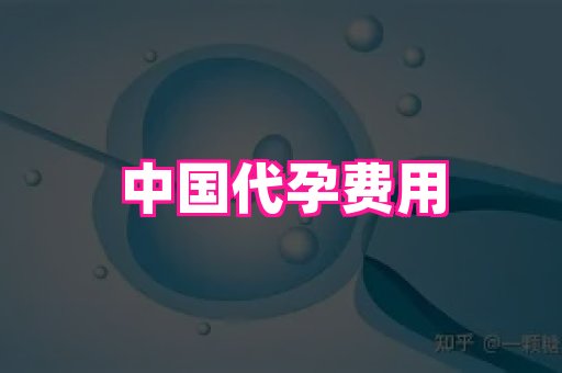 点点助孕网 4